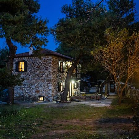 Elli Cottage 스코펠로스 타운 외부 사진